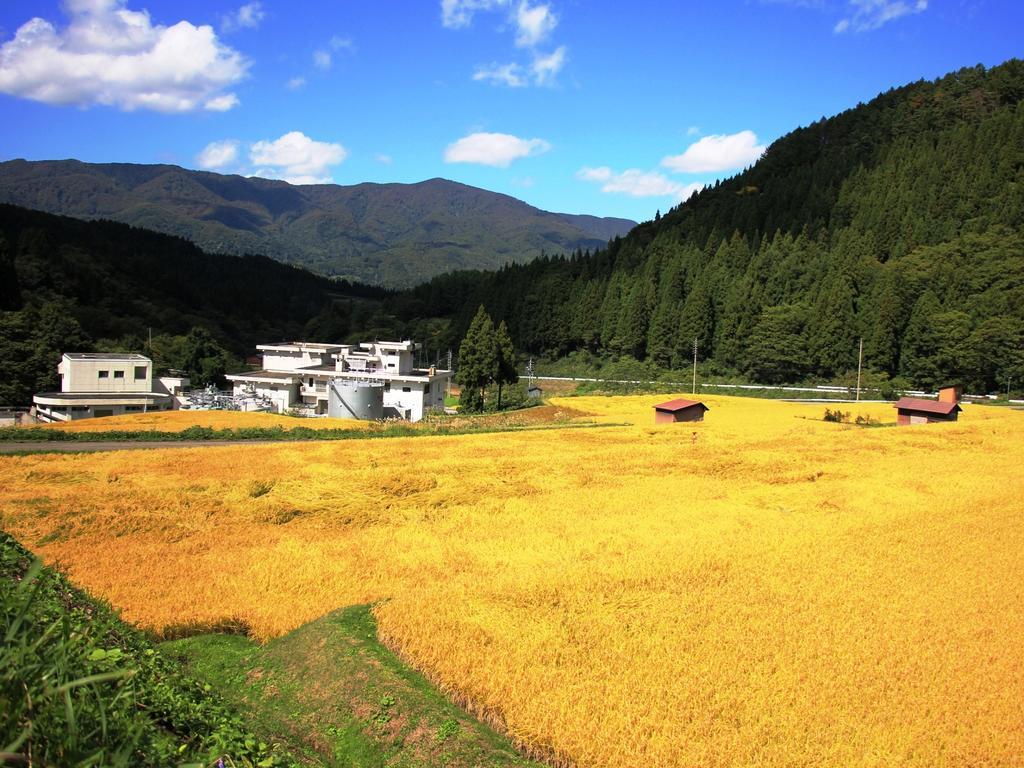 Chouchinya Hotel Nozawa Luaran gambar